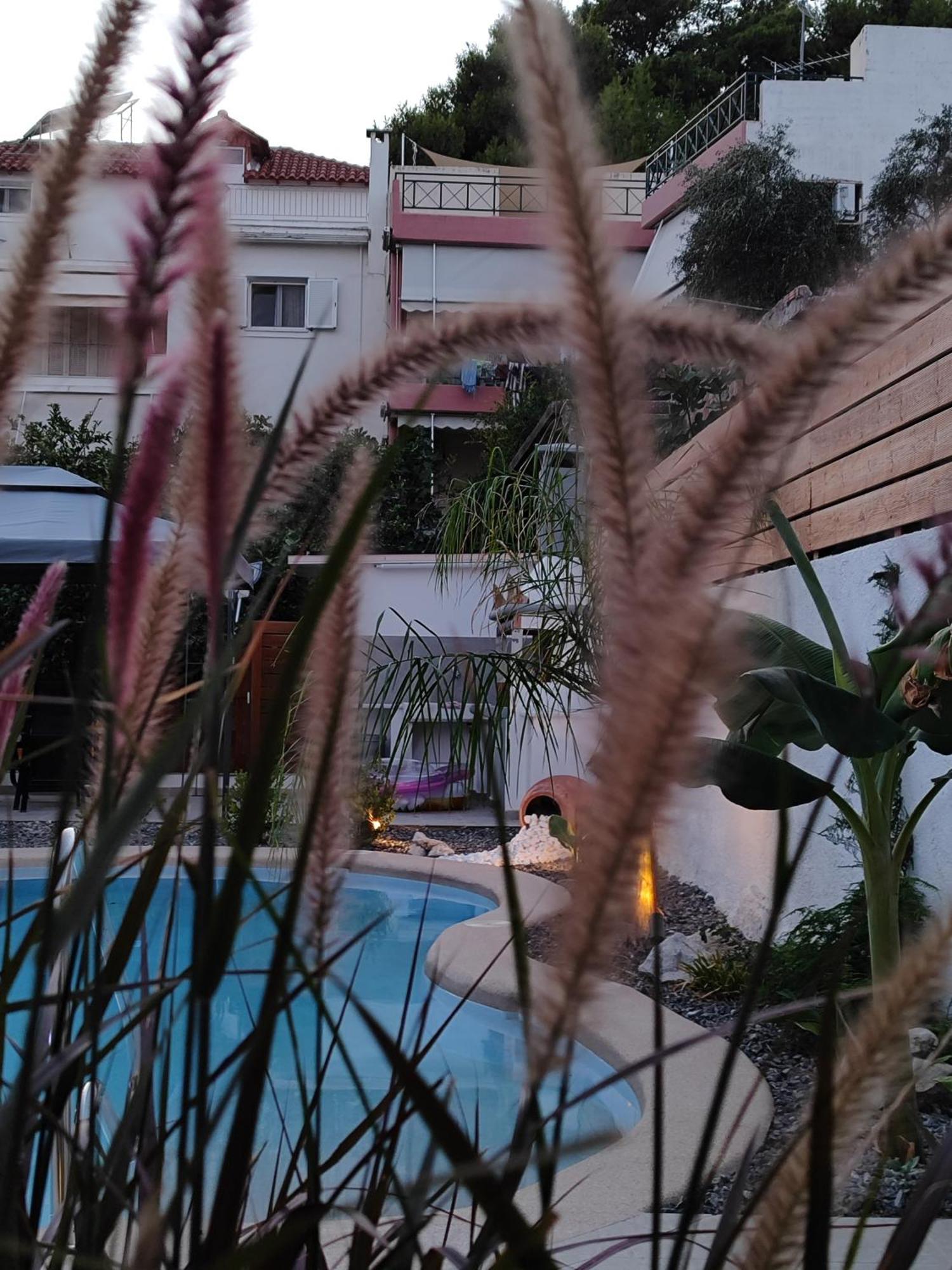 Centro Stone House
